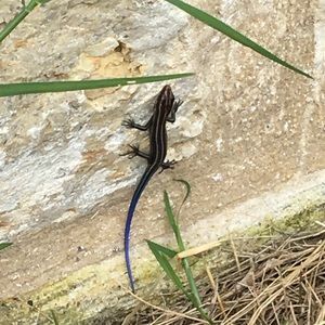 Meet your Posher, Kathleen